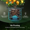 image:imageVIVOSUN 10Pack 10 Gallon Grow Bags Reinforced Planter Fabric Pots for Gardening Black1 Gallon