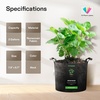 image:imageVIVOSUN 10Pack 10 Gallon Grow Bags Reinforced Planter Fabric Pots for Gardening Black2 Gallons
