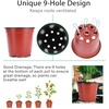 image:imageVIVOSUN 50 Pcs 6 Inch Plastic Plant Nursery Pots Seed Starting Pot Flower Plant Container for Seedlings Cuttings Transplanting4 inch Pack of 2