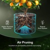 image:imageVIVOSUN 5Pack 1 Gallon Grow Bags Fabric Pots with SelfAdhesion Sides for Transplanting2 gallon