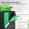 image:imageVIVOSUN 5Pack 1 Gallon Grow Bags Fabric Pots with SelfAdhesion Sides for Transplanting2 gallon Pack of 2