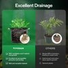 image:imageVIVOSUN 5Pack 10 Gallon Grow Bags 500G Thick Nonwoven Fabric Pots with Strap Handles MultiPurpose Rings for Low Stress Plant Training Fruits Vegetables and Flowers3 Gal