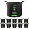 10 Gallons