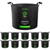 5 Gallons