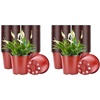image:imageVIVOSUN 50 Pcs 6 Inch Plastic Plant Nursery Pots Seed Starting Pot Flower Plant Container for Seedlings Cuttings Transplanting4 inch Pack of 2