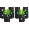 1 gallon (Pack of 2)