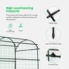 image:imageVIVOSUN 7Ft Arch Trellis for Climbing Plants 7 x 6 x 7ft Tall Metal Tunnel Trellis Lightweight Metal Plant Support Archway with Nylon Netting for Climbing Vine Vegetables Fruits Flowers Black7 x 6 x 7Ft