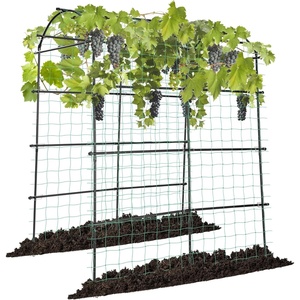 image:imageVIVOSUN 7Ft Arch Trellis for Climbing Plants 7 x 6 x 7ft Tall Metal Tunnel Trellis Lightweight Metal Plant Support Archway with Nylon Netting for Climbing Vine Vegetables Fruits Flowers Black7 x 6 x 7Ft