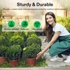 image:imageVIVOSUN Garden Cloches for Plants Rustproof Chicken Wire Cloches with FlipTop Design amp Integrated Folding Stakes Plants Protectors Keep Small Animals Out 6Pack