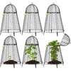 image:imageVIVOSUN Garden Cloches for Plants Rustproof Chicken Wire Cloches with FlipTop Design amp Integrated Folding Stakes Plants Protectors Keep Small Animals Out 6Pack