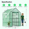 image:imageVIVOSUN 57x57x77 Inch Mini Walk in Green House with Window and Anchor Plant Garden Hot House 2 Tiers 8 Shelves 47 x 47 x 64 FTGreen PE