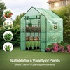 image:imageVIVOSUN 57x57x77 Inch Mini Walk in Green House with Window and Anchor Plant Garden Hot House 2 Tiers 8 Shelves 47 x 47 x 64 FTGreen PE