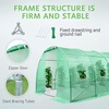 image:imageVIVOSUN 57x57x77 Inch Mini Walk in Green House with Window and Anchor Plant Garden Hot House 2 Tiers 8 Shelves 47 x 47 x 64 FTGreen PE