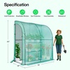image:imageVIVOSUN 57x57x77 Inch Mini Walk in Green House with Window and Anchor Plant Garden Hot House 2 Tiers 8 Shelves 47 x 47 x 64 FTGreen PE