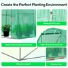 image:imageVIVOSUN 57x57x77 Inch Mini Walk in Green House with Window and Anchor Plant Garden Hot House 2 Tiers 8 Shelves 47 x 47 x 64 FTGreen PE