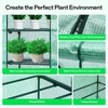 image:imageVIVOSUN 57x57x77 Inch Mini Walk in Green House with Window and Anchor Plant Garden Hot House 2 Tiers 8 Shelves 47 x 47 x 64 FTGreen PE