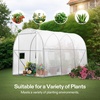 image:imageVIVOSUN 57x57x77 Inch Mini Walk in Green House with Window and Anchor Plant Garden Hot House 2 Tiers 8 Shelves 47 x 47 x 64 FTWhite PE