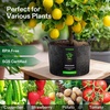 image:imageVIVOSUN 5Pack 5 Gallon Grow Bags Heavy Duty 300G Thickened Nonwoven Plant Fabric Pots with HandlesBlack