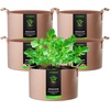 image:imageVIVOSUN 5Pack 5 Gallon Grow Bags Heavy Duty 300G Thickened Nonwoven Plant Fabric Pots with HandlesTan