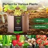 image:imageVIVOSUN 5Pack 5 Gallon Grow Bags Heavy Duty 300G Thickened Nonwoven Plant Fabric Pots with HandlesTan