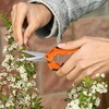 image:imageVIVOSUN 65 Inch Gardening Scissors Hand Pruner Pruning Shear with Straight Stainless Steel Blades Orange 1PackOrange Straight Blade