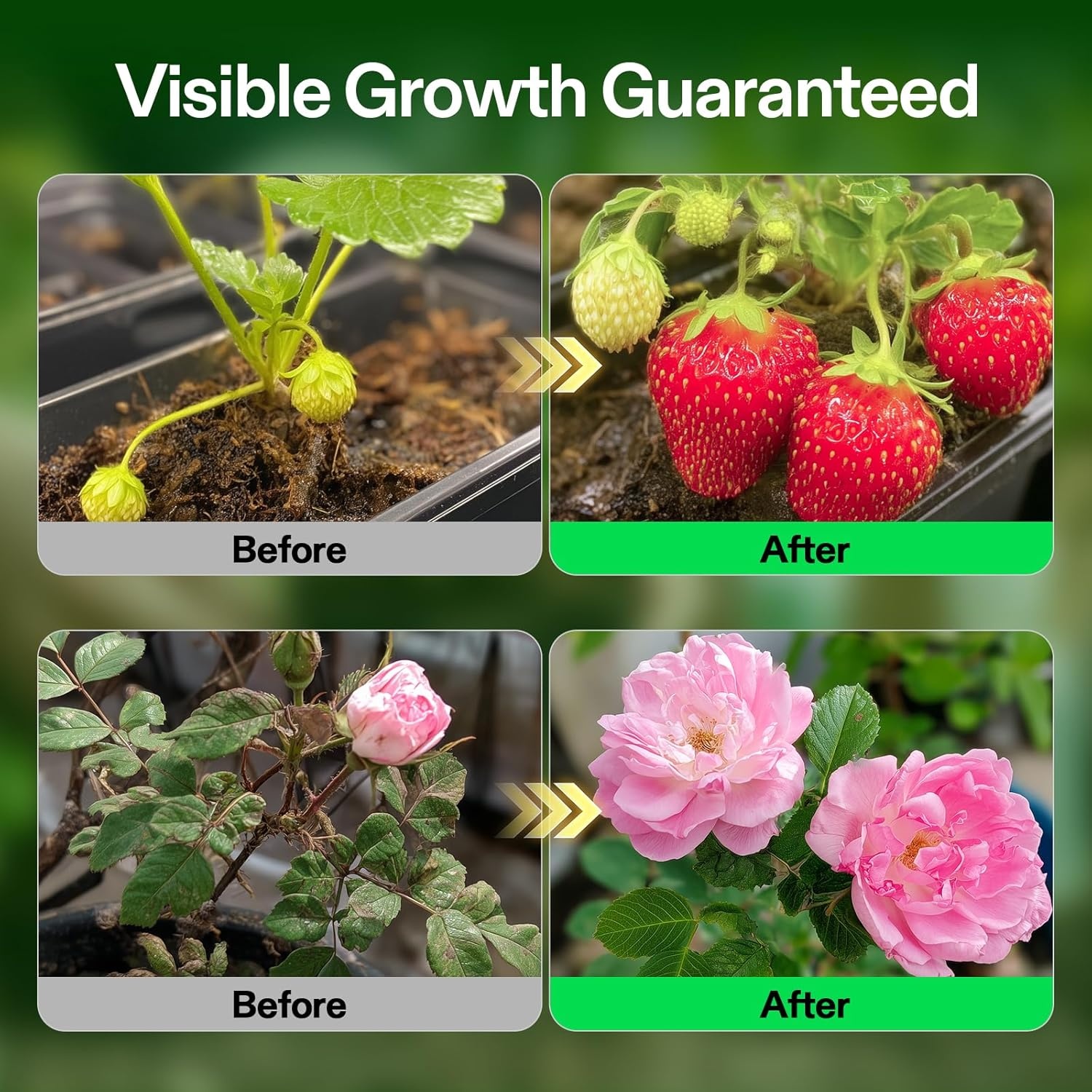 image:imageVIVOSUN Liquid Nutrients Base A amp B Bundle Grow Big Hydroponic Fertilizer Supports Vegetative and Flowering Stages for Outdoor Indoor Plants Best Plant Food Set of 8oz32 Ounce