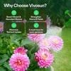 image:imageVIVOSUN Bloom Juice 064 Flowering Supplement Liquid Fertilizer for Flowering Stage Concentrated Plant Food for All Flowering Plants 32 Ounces1 Quart32 Ounce Pack of 2