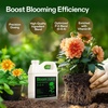 image:imageVIVOSUN Bloom Juice 064 Flowering Supplement Liquid Fertilizer for Flowering Stage Concentrated Plant Food for All Flowering Plants 32 Ounces1 Quart32 Ounce Pack of 2