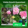 image:imageVIVOSUN Bloom Juice 064 Flowering Supplement Liquid Fertilizer for Flowering Stage Concentrated Plant Food for All Flowering Plants 32 Ounces1 Quart8 Ounce Pack of 2