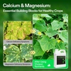 image:imageVIVOSUN CalMagIron 200 Calcium Magnesium amp Iron Supplement Liquid Nutrient Fertilizer for All Plants Concentrated Plant Food for SoilSoilless Cultivation Hydroponics 1 Quart
