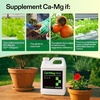 image:imageVIVOSUN CalMagIron 200 Calcium Magnesium amp Iron Supplement Liquid Nutrient Fertilizer for All Plants Concentrated Plant Food for SoilSoilless Cultivation Hydroponics 1 Quart
