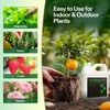 image:imageVIVOSUN CalMagIron 200 Calcium Magnesium amp Iron Supplement Liquid Nutrient Fertilizer for All Plants Concentrated Plant Food for SoilSoilless Cultivation Hydroponics 1 Quart