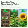 image:imageVIVOSUN Complete Nutrient System Starter Kit Plant Nutrient and Fertilizer Solution Hydroponics Growing System with Base A amp B Bloom Juice CalMag and Iron for Indoor Growers