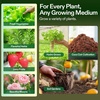 image:imageVIVOSUN Complete Nutrient System Starter Kit Plant Nutrient and Fertilizer Solution Hydroponics Growing System with Base A amp B Bloom Juice CalMag and Iron for Indoor Growers
