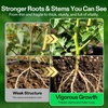 image:imageVIVOSUN Complete Nutrient System Starter Kit Plant Nutrient and Fertilizer Solution Hydroponics Growing System with Base A amp B Bloom Juice CalMag and Iron for Indoor Growers