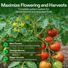 image:imageVIVOSUN Complete Nutrient System Starter Kit Plant Nutrient and Fertilizer Solution Hydroponics Growing System with Base A amp B Bloom Juice CalMag and Iron for Indoor Growers