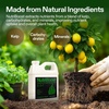 image:imageVIVOSUN Seaweed and Kelp Fertilizer Concentrated Plant Additive NutriBoost 001 AllPurpose Liquid Food for All Growing Stages for Trees Vegetables Flowers Fruits Lawn 32 Ounces1 Quart32 Ounce