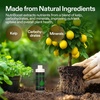 image:imageVIVOSUN Seaweed and Kelp Fertilizer Concentrated Plant Additive NutriBoost 001 AllPurpose Liquid Food for All Growing Stages for Trees Vegetables Flowers Fruits Lawn 32 Ounces1 Quart8 Ounce
