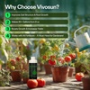 image:imageVIVOSUN Seaweed and Kelp Fertilizer Concentrated Plant Additive NutriBoost 001 AllPurpose Liquid Food for All Growing Stages for Trees Vegetables Flowers Fruits Lawn 32 Ounces1 Quart8 Ounce