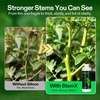 image:imageVIVOSUN StemX 002 Silica for Plants Soluble Liquid Silicon Plant Supplement Fertilizer Nutrient Solution for Strong Stems and Healthy Leaves Boost Resilience pH Balance 32 oz8 Ounce