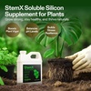 image:imageVIVOSUN StemX 002 Silica for Plants Soluble Liquid Silicon Plant Supplement Fertilizer Nutrient Solution for Strong Stems and Healthy Leaves Boost Resilience pH Balance 32 oz32 Ounce