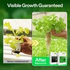 image:imageVIVOSUN pH Up amp pH Down Kit 1 Quart Each pH Control Kit for Balanced pH Level and Optimal Nutrient Uptake pH Adjuster Liquid Fertilizer for All Plants and All Growing Systems
