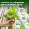 image:imageVIVOSUN pH Up amp pH Down Kit 1 Quart Each pH Control Kit for Balanced pH Level and Optimal Nutrient Uptake pH Adjuster Liquid Fertilizer for All Plants and All Growing Systems