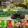 image:imageVIVOSUN 1 Pack 50 Gallon Grow Bag Fabric Pot with Handles for Growing Vegtables and Plants100 Gallon