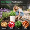 image:imageVIVOSUN 50Pack 5 Gallon Grow Bags for Plants BlackandWhite Thick Plastic Bags for Potting Seedlings and Rooting2 Gallon Pack of 2