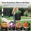 image:imageVIVOSUN 5Pack 7 Gallon Potato Grow Bags for Growing Potatoes Fabric Potato Pots with Handle and Rollup Window Potato Growing Containers Potato Planter Potato Planter for Growing Potatoes GreenBlack