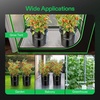 image:imageVIVOSUN DWC Hydroponics Grow System with Top Drip Kit 5Gallon Deep Water Culture Recirculating Drip Garden System with MultiPurpose Air Hose Air Pump and Air Stone 1 Bucket  Top Drip Kit2 Buckets  Top Drip Kit