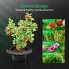image:imageVIVOSUN DWC Hydroponics Grow System with Top Drip Kit 5Gallon Deep Water Culture Recirculating Drip Garden System with MultiPurpose Air Hose Air Pump and Air Stone 1 Bucket  Top Drip Kit1 Bucket  Top Drip Kit