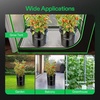 image:imageVIVOSUN DWC Hydroponics Grow System with Top Drip Kit 5Gallon Deep Water Culture Recirculating Drip Garden System with MultiPurpose Air Hose Air Pump and Air Stone 1 Bucket  Top Drip Kit1 Bucket  Top Drip Kit