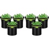 image:imageVIVOSUN 3Pack 3Gallon AeroBase Grow Bags Durable Mesh Fabric Plant Container with Breathable Base and Sturdy Handles Black3 Gallons Pack of 2